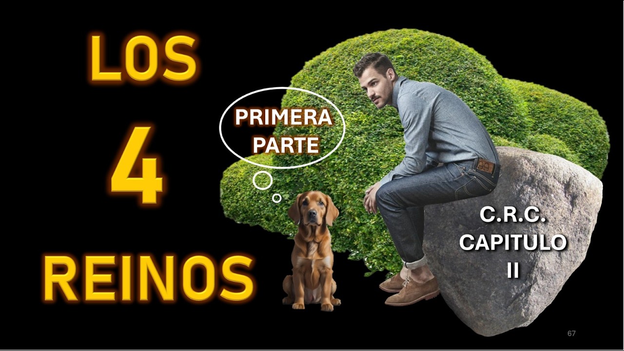 C.R.C. SEGUNDA PARTE 