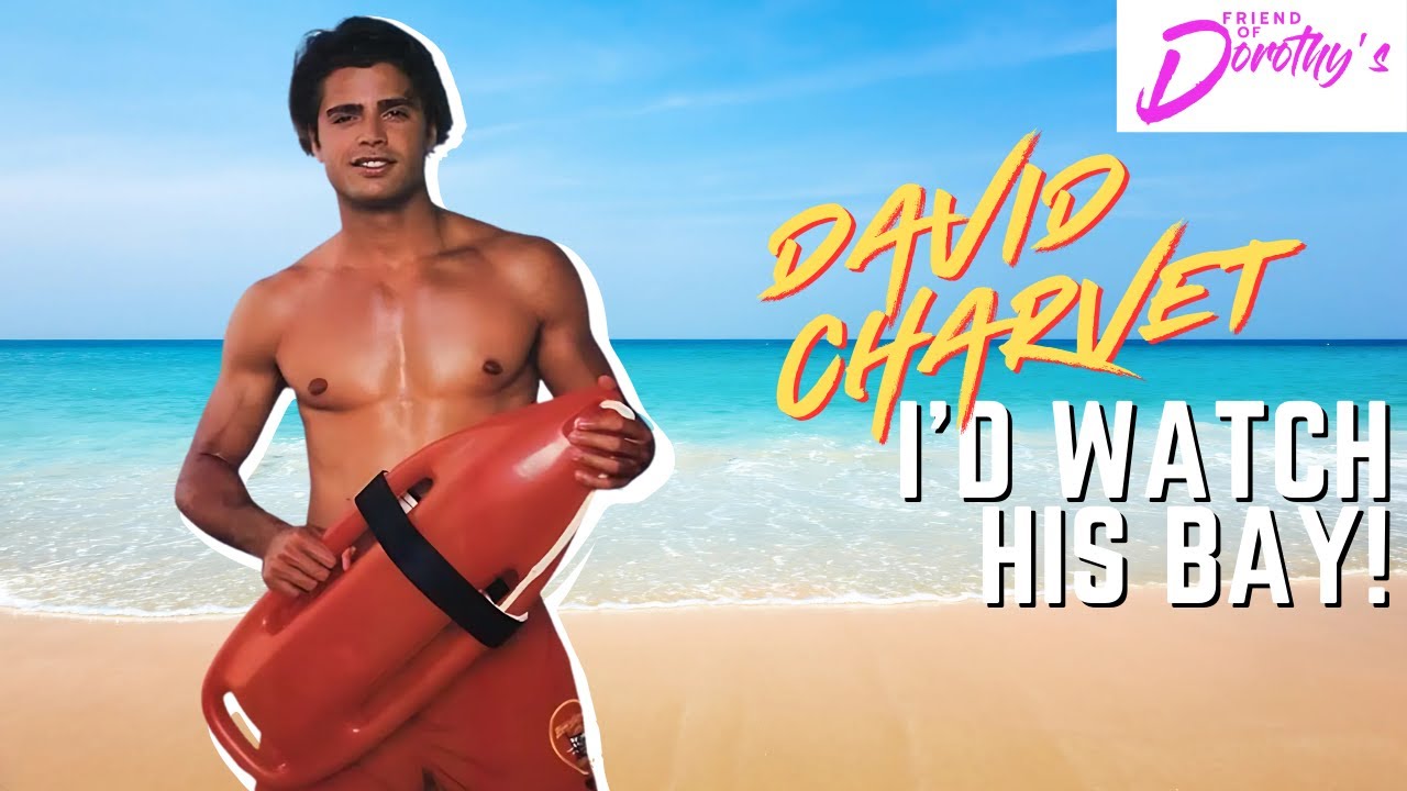 Was David Charvet the ultimate 90s hunk?