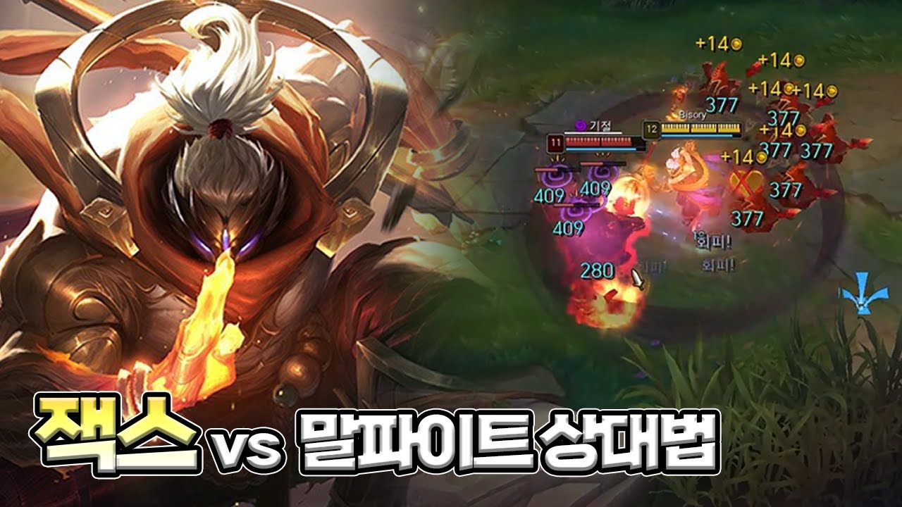 유료 강의에 밀리지 않는 탑 잭스 무료 강의 vs말파이트