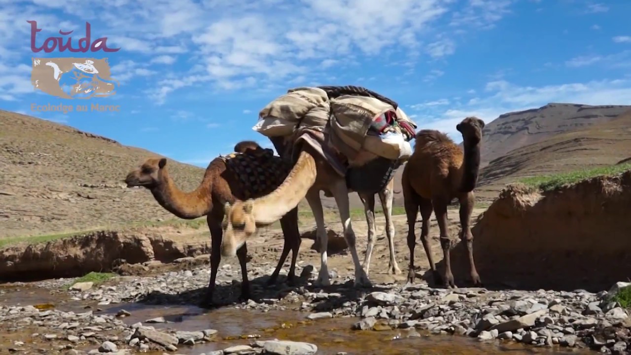 Ecolodge Touda Hight Atlas Mountains