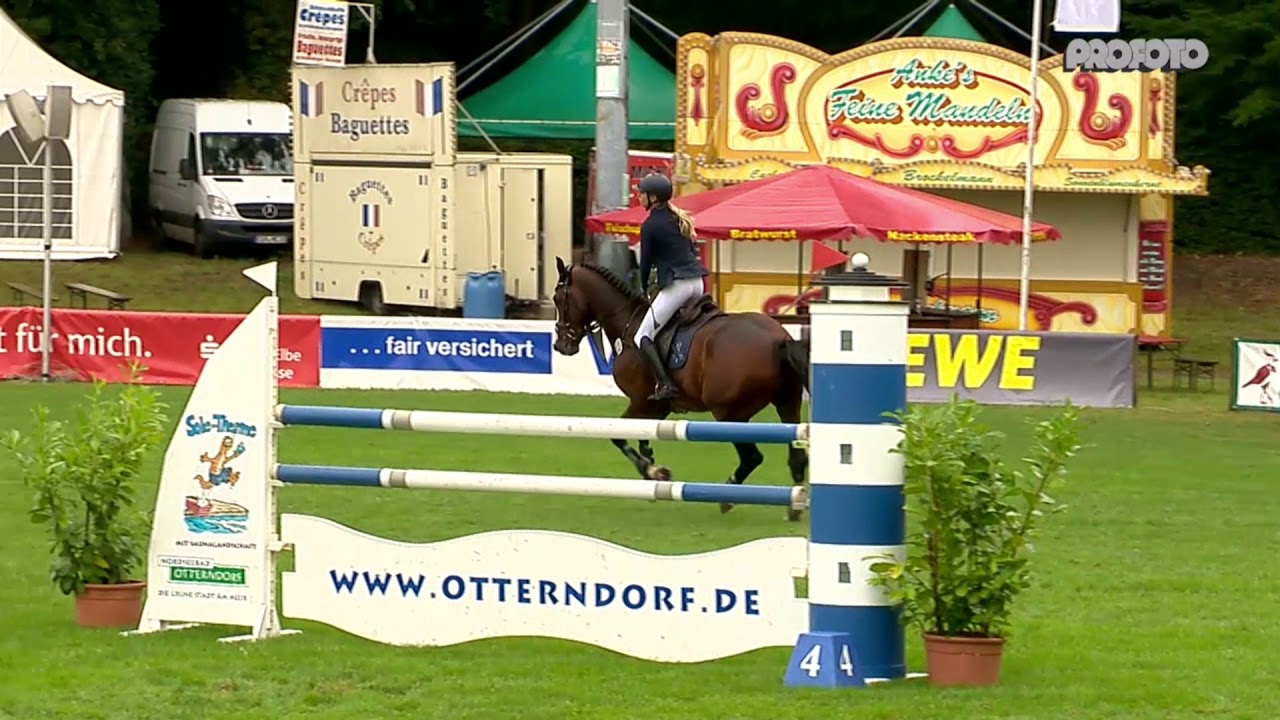 Holsteiner Verbandshengste | Turnierimpression - Million Dollar Dobrock 2019