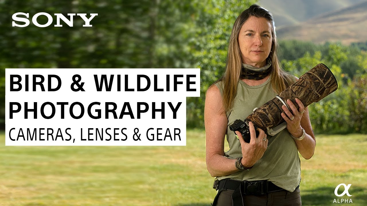 Bird & Wildlife Photography Tutorial: What's In My Bag with Melissa Groo