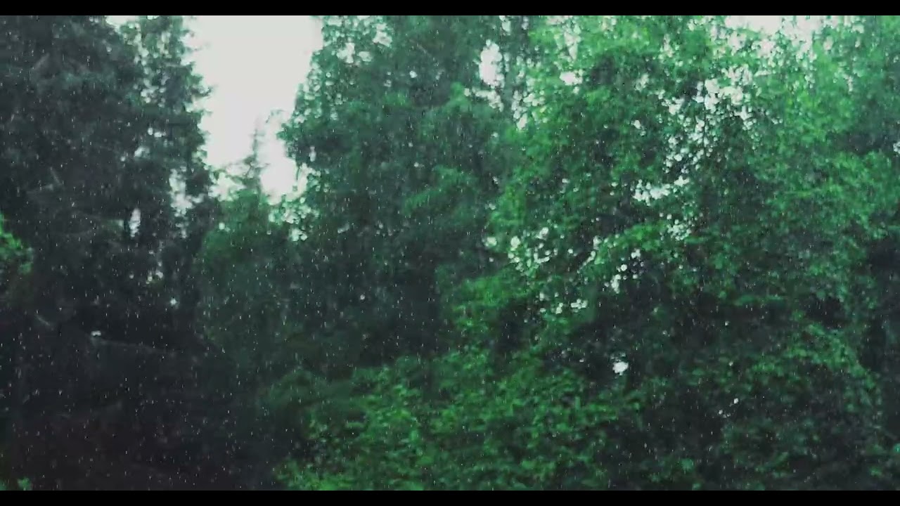 [숙면] 10분 후 화면 꺼짐 | 밤새 듣기 좋은 부드러운 빗소리 10시간 (Deep Sleep Rain / Black Screen)