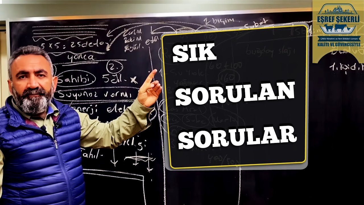 Hayvanları Ne Zaman Kesime Götürmeliyiz?