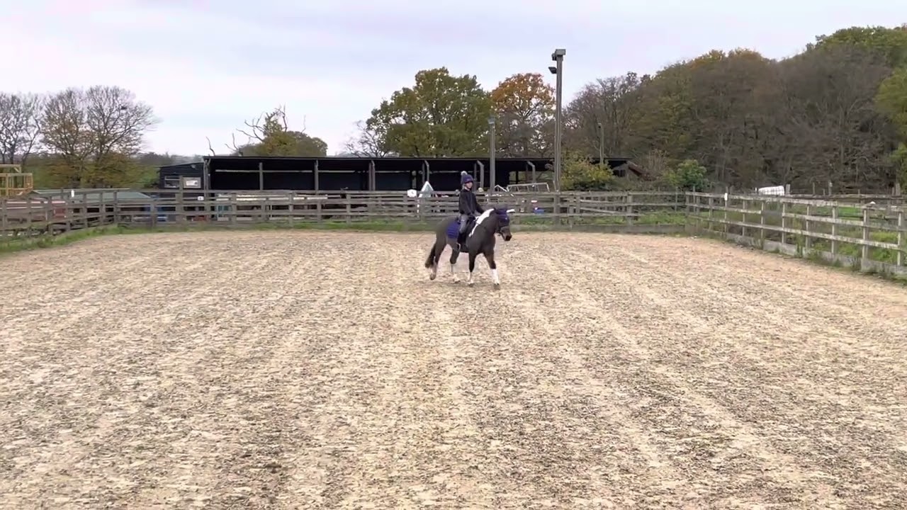 Tilly Clark-Sasse + Rockstar, CDRC intro 4. (November online dressage) - 67.86% - 2nd