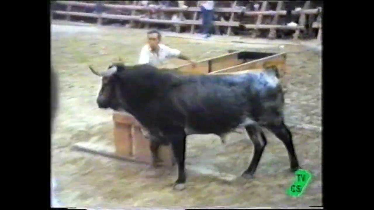 Ratonero con mas Calidad y Cambio de Formato de Video