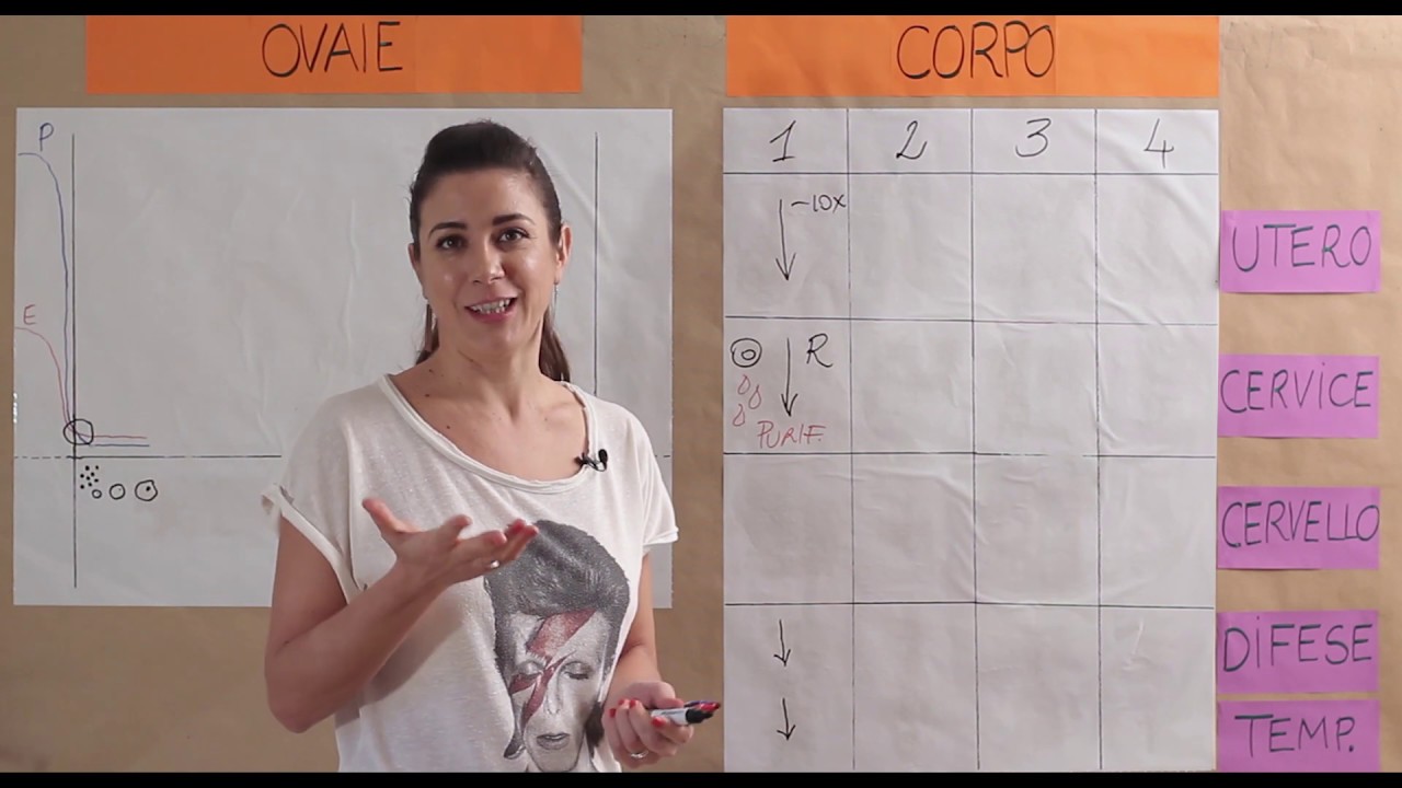 Che succede alla mestruazione?