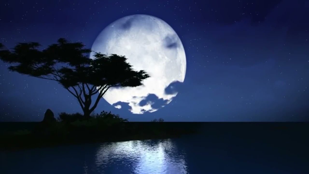 تباشير الصباح من صباحات الورد للفنان الكبير عبد المجيد مجذوب