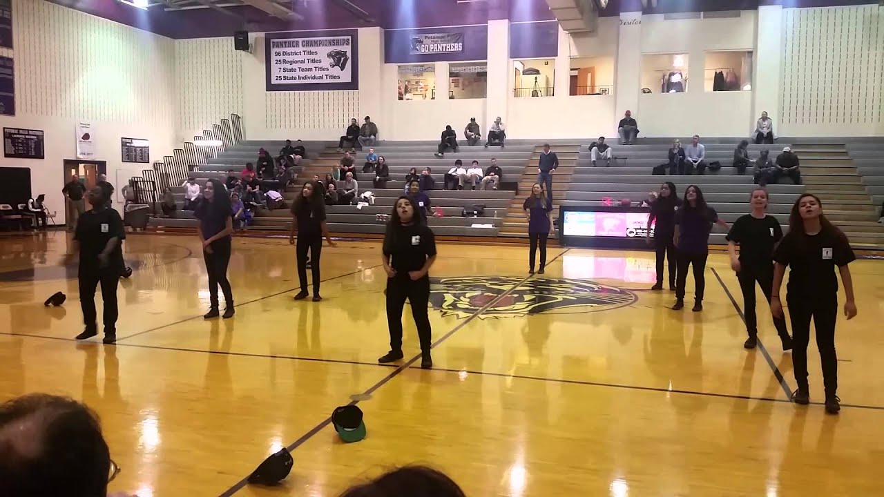 Potomac Falls Step Team:  Ruckus