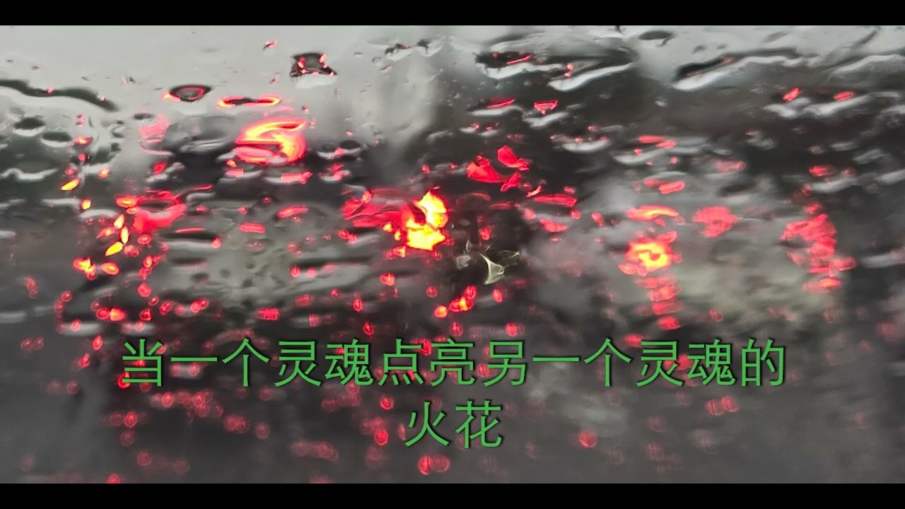 萍聚京城  回家的路