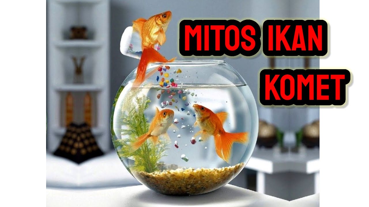 MITOS IKAN KOMET