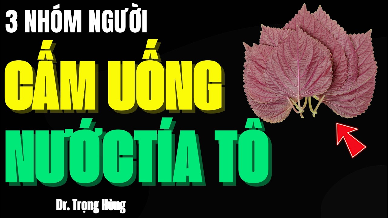 Cảnh Báo: 3 Nhóm Người Nguy Hiểm Khi DùngTía Tô - 7 Lợi Ích Tuyệt Vời Của Tía Tô Chữa Được 7 Bệnh