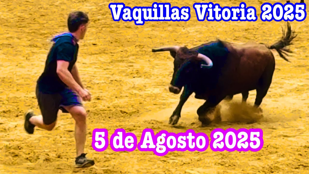 Vaquillas 5 de Agosto 2025 en Vitoria Gasteiz | Bull Fight Festival Vitoria 2025