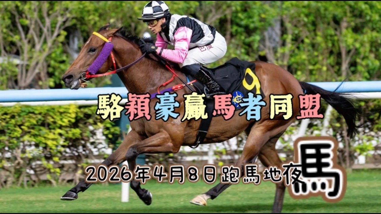 8/4/26谷草夜馬 - 隊長與心悅老師心水推介