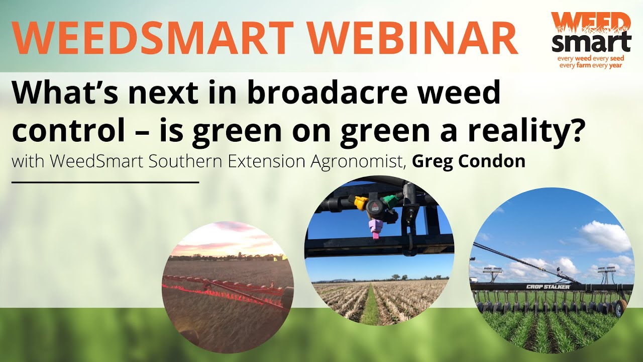Webinar: What&rsquo;s next in broadacre weed control &ndash; is green on green a reality? With Greg Condon