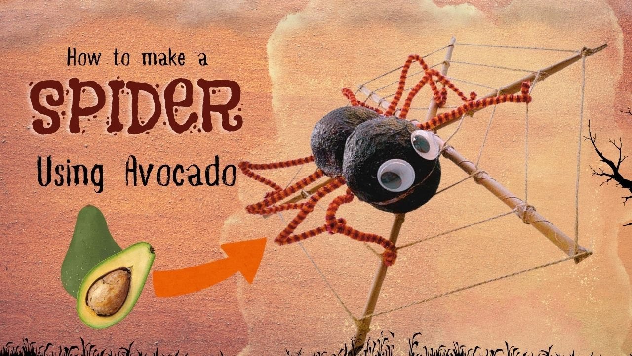 How to make a Spider craft from Avocado skin