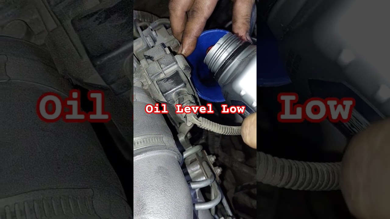 Transmission Fluid Level 