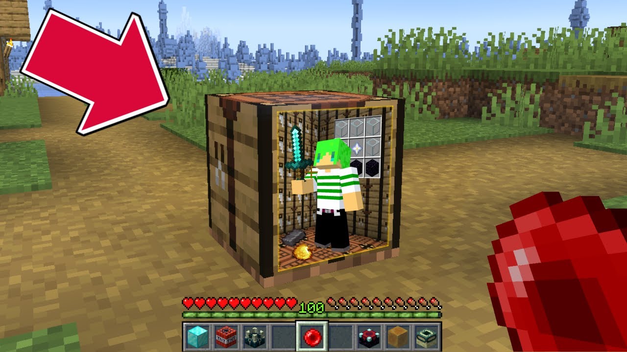 アイテムの中に入れる世界でサバイバル【マインクラフト】