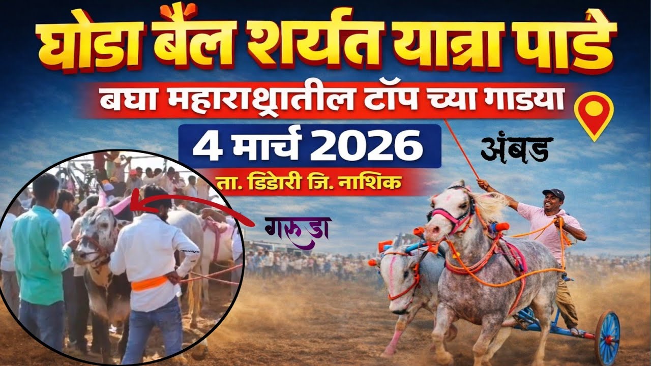 Full video 👉घोडा बैल शर्यत यात्रा मौजे पाडे ता. दिंडोरी जी. नाशिक 