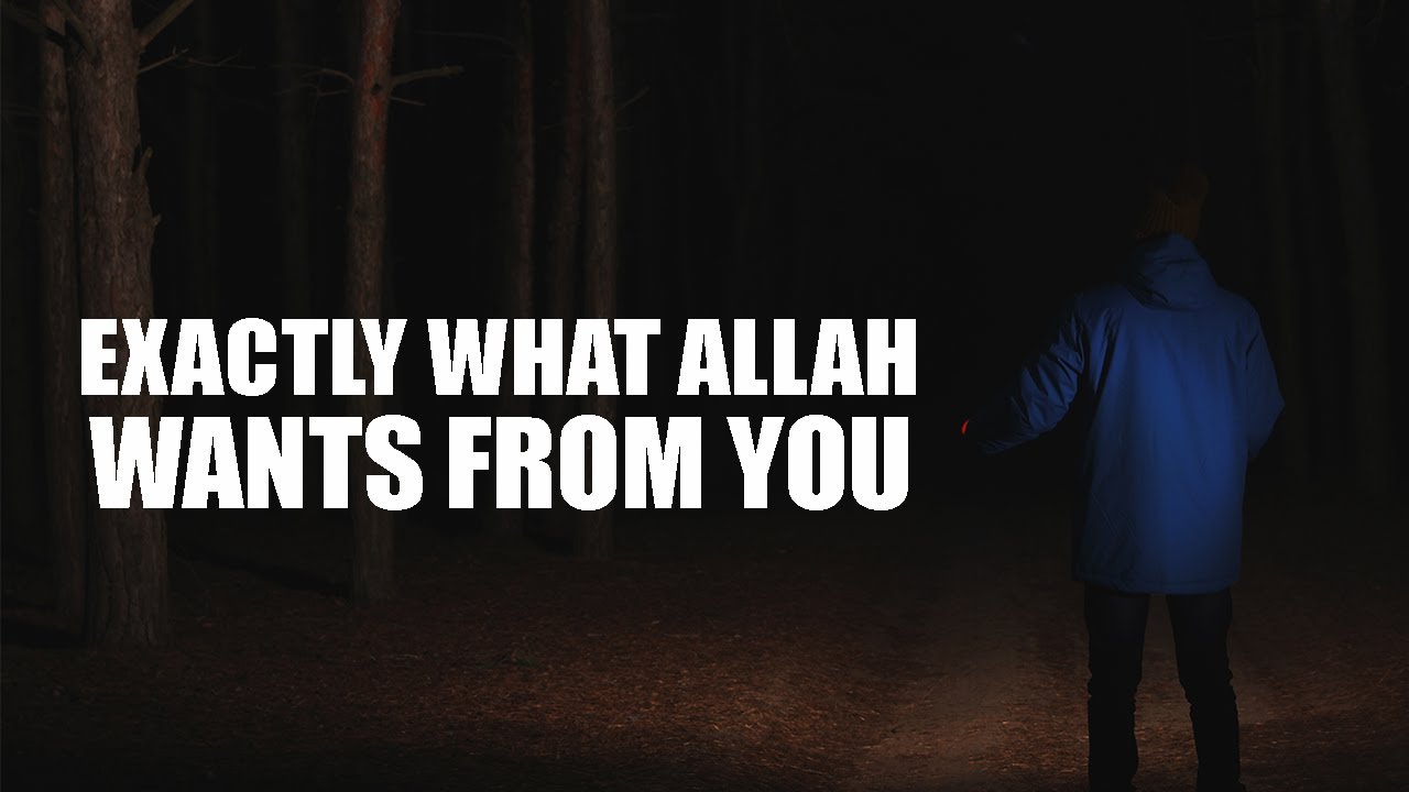 THIS IS EXACTLY WHAT ALLAH WANTS FROM YOU