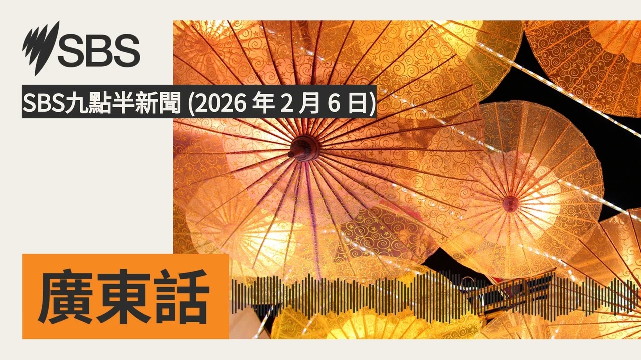 SBS九點半新聞 (2026 年 2 月 6 日) | SBS Cantonese - SBS廣東話節目