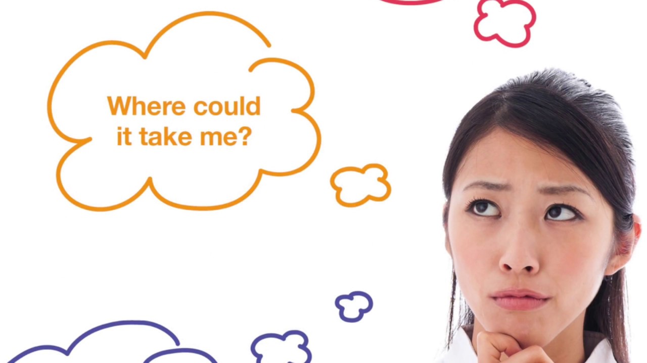 What is the Bridging Programme
