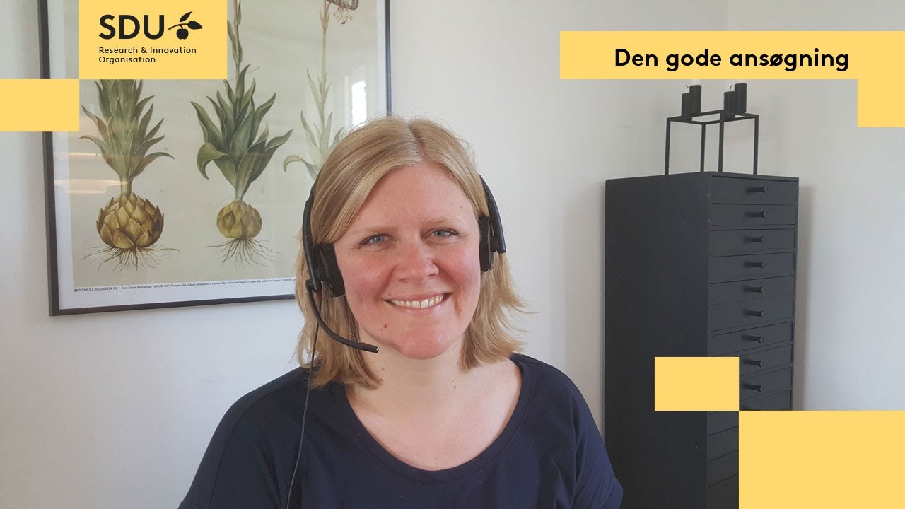 Den gode ansøgning