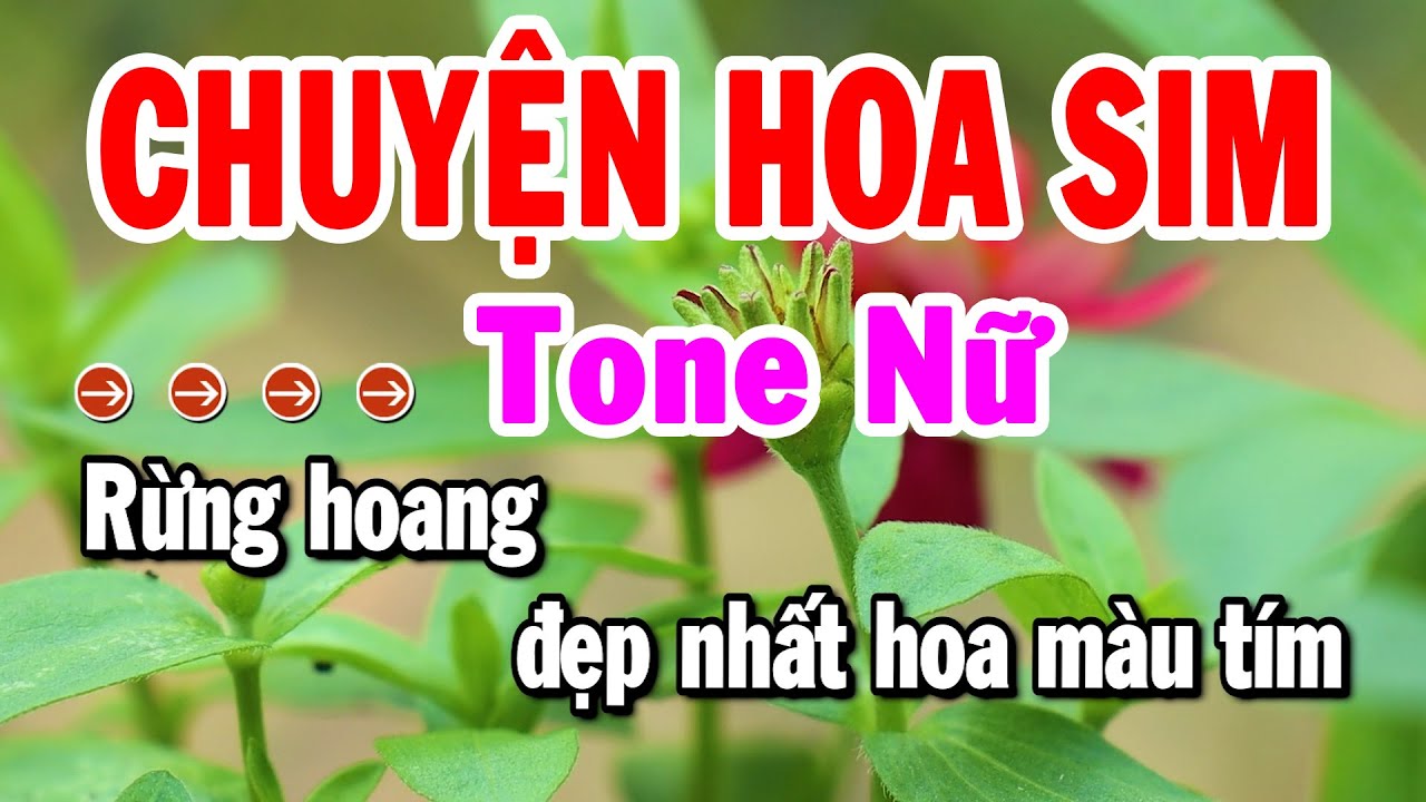 Karaoke Chuyện Hoa Sim Tone Nữ Nhạc Sống Dễ Hát Beat Chuẩn 2025 | Karaoke Tuyển Chọn