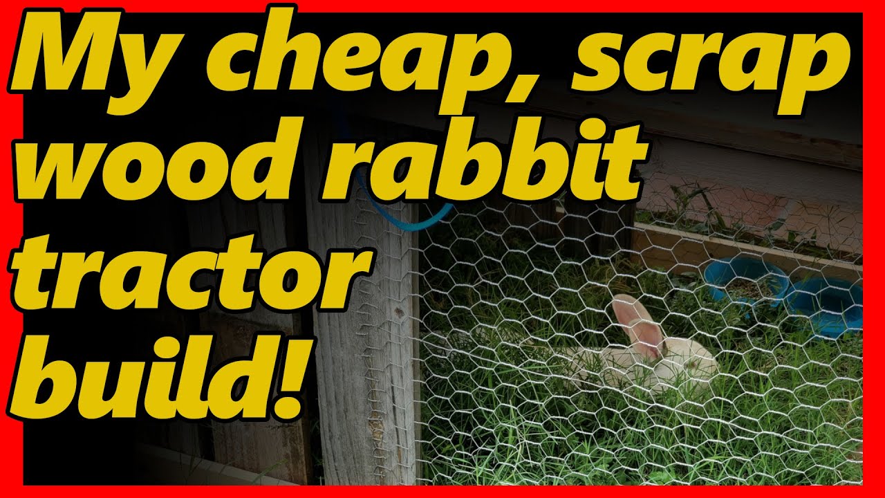 My cheap diy rabbit tractor build. How to build a meat rabbit tractor from reclaimed, scrap wood.