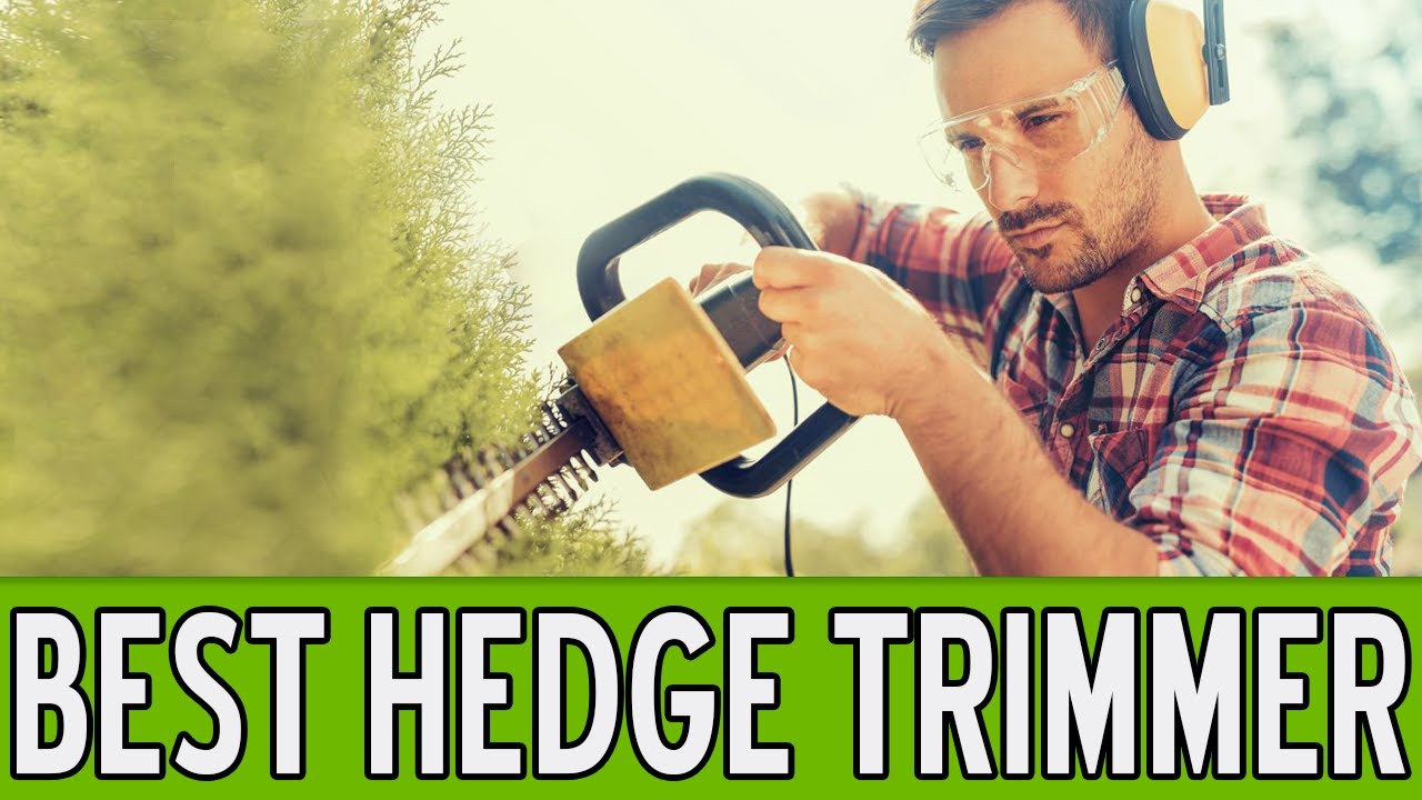 13 Best Hedge Trimmers 2018