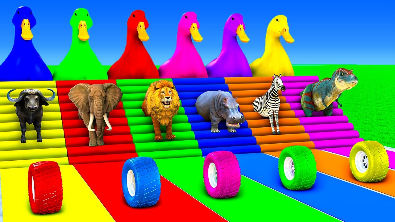 Long Slide Game With Zebra Gorilla Hippopotamus Horse Bull - 3d Animal Game - Funny 3d Animals