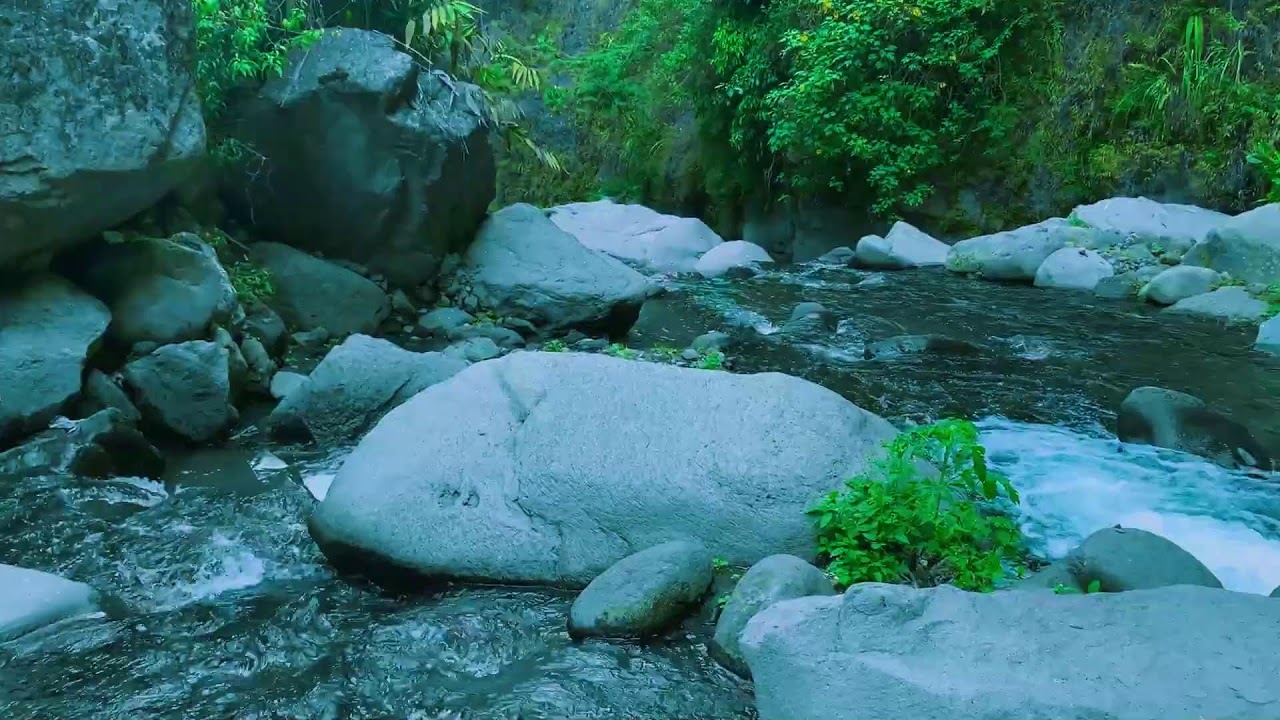 Soothing Nature Sounds with Dreamy ASMR for Worry Relief, Therapy & Sleep