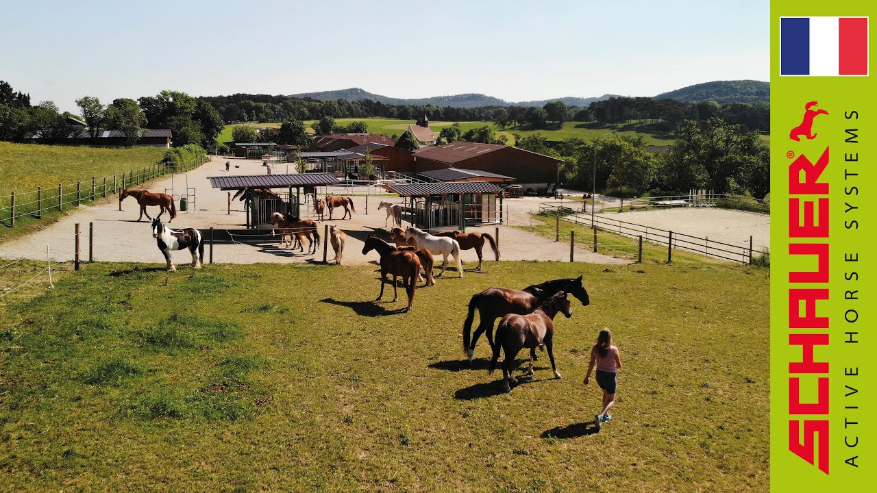 Écurie active (famille Winter, Autriche)