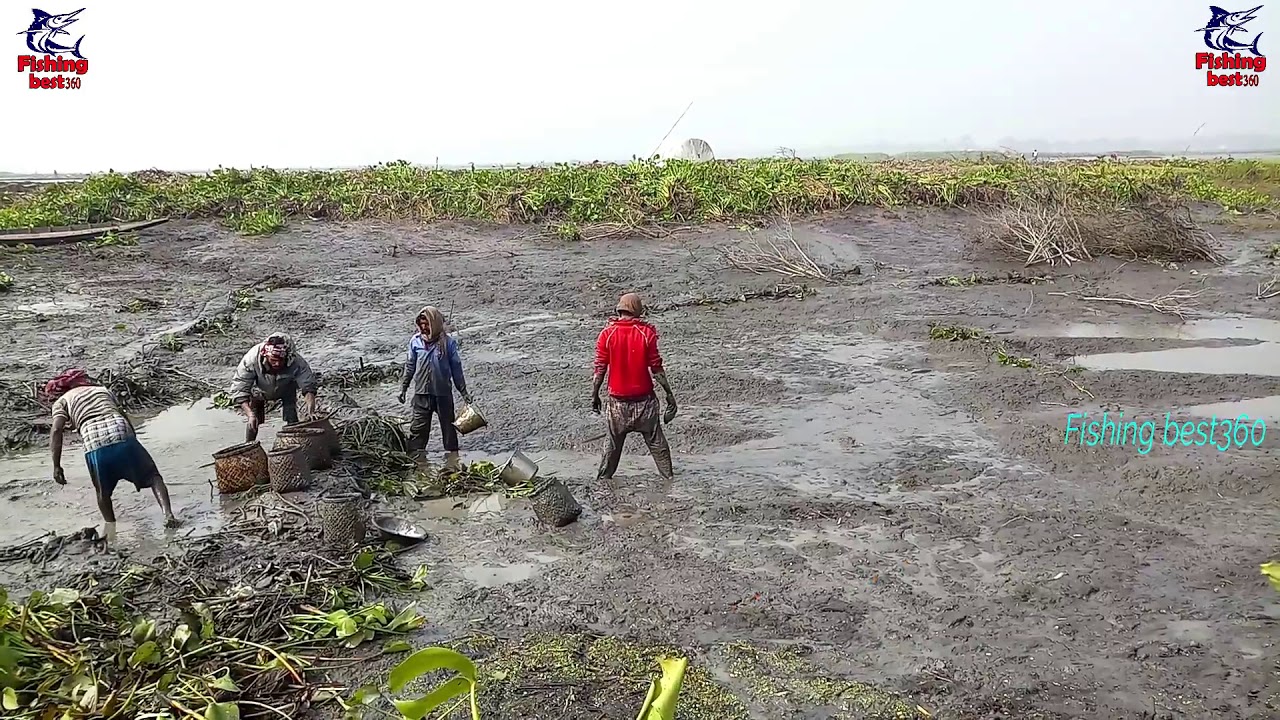Muddy Soil,Best Fishing video,Deep,hole egg fishing,deep,sea fishing 2020,oil,Fish,Real,Water,mud 64