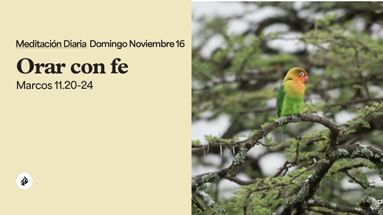 Orar con fe &ndash; Meditaci&oacute;n Diaria