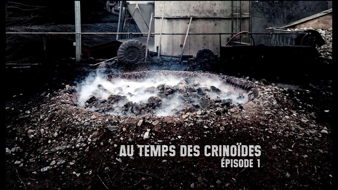 Au temps des Crinoïdes 1 - Sinémurien /Jurassique inférieur / Mésozoïque - Ammonites & Nautiles