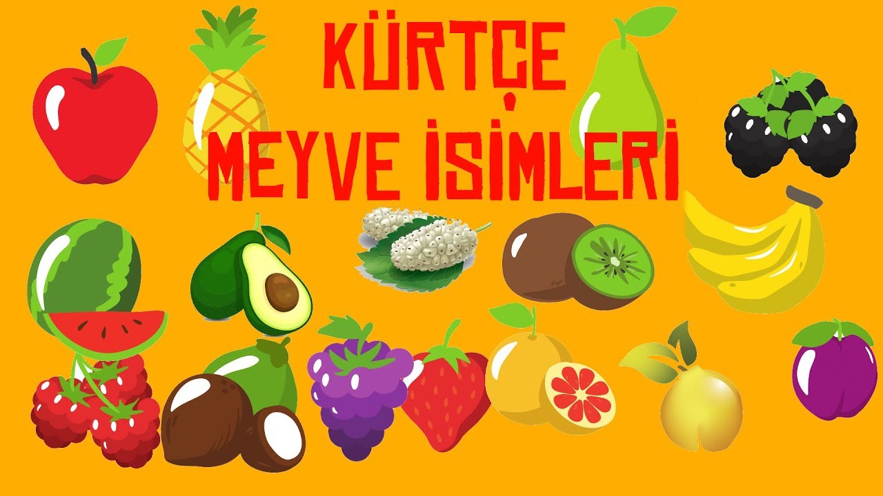 Meyveler - Navên Fêkîyan - Fruit Names