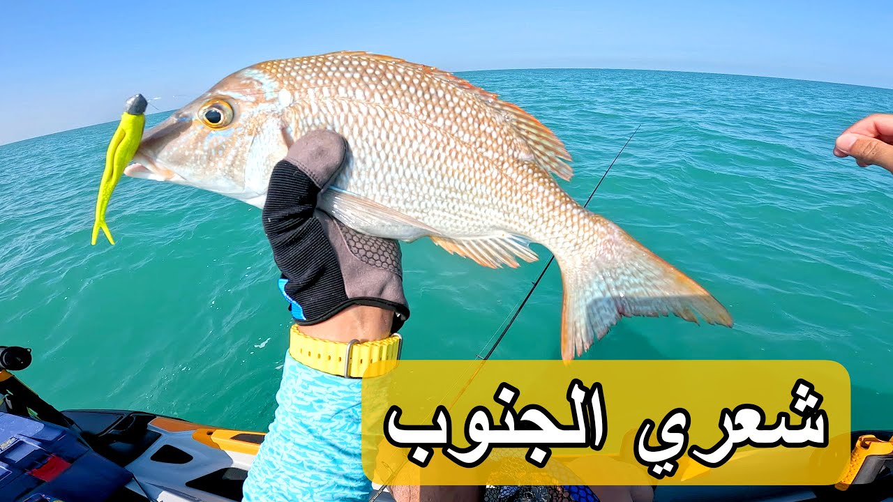 كشته ولفاح شعري