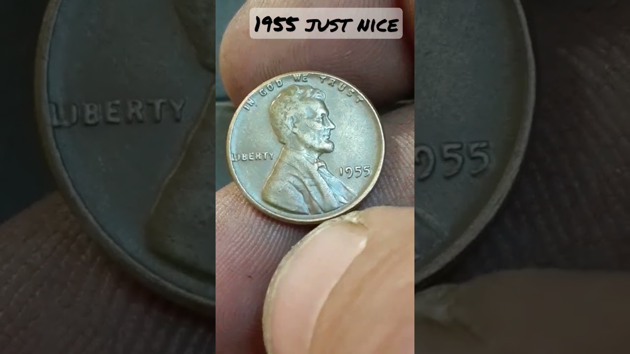 1955 wheat penny c