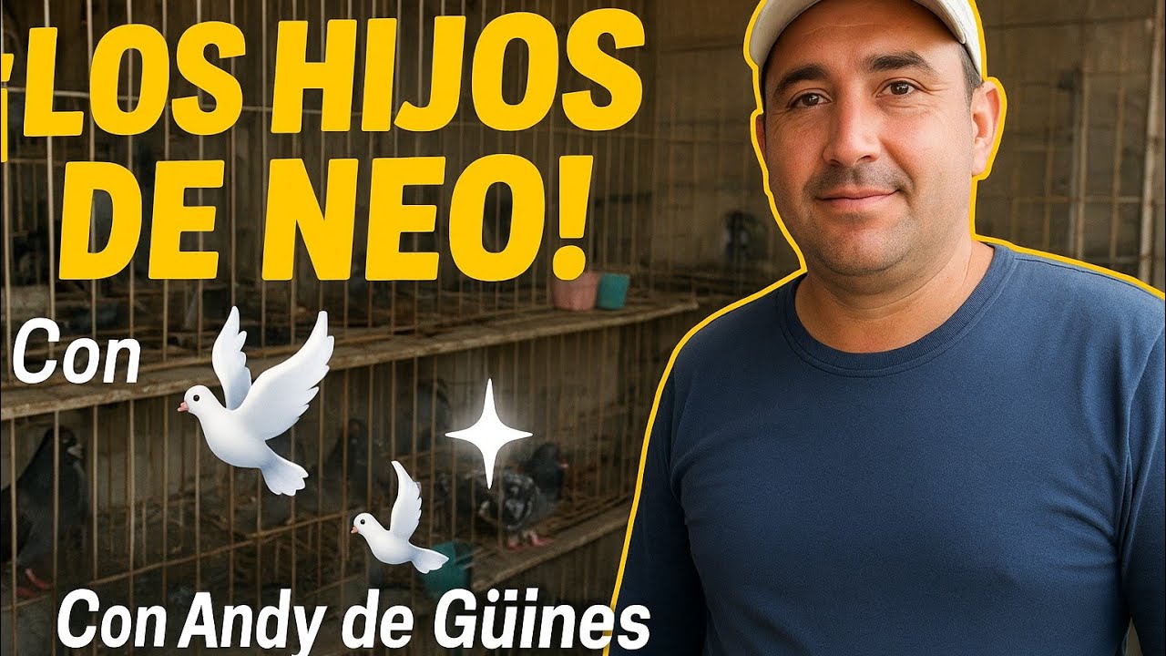 “Visitamos a Andy Palomero en Güines 🕊️ | Los descendientes de Neo en acción”