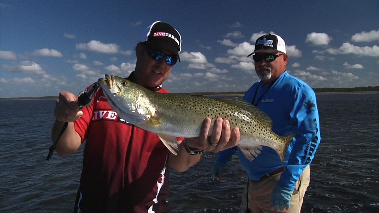 Florida Adventure Quest Monster Trout in Steinhatchee