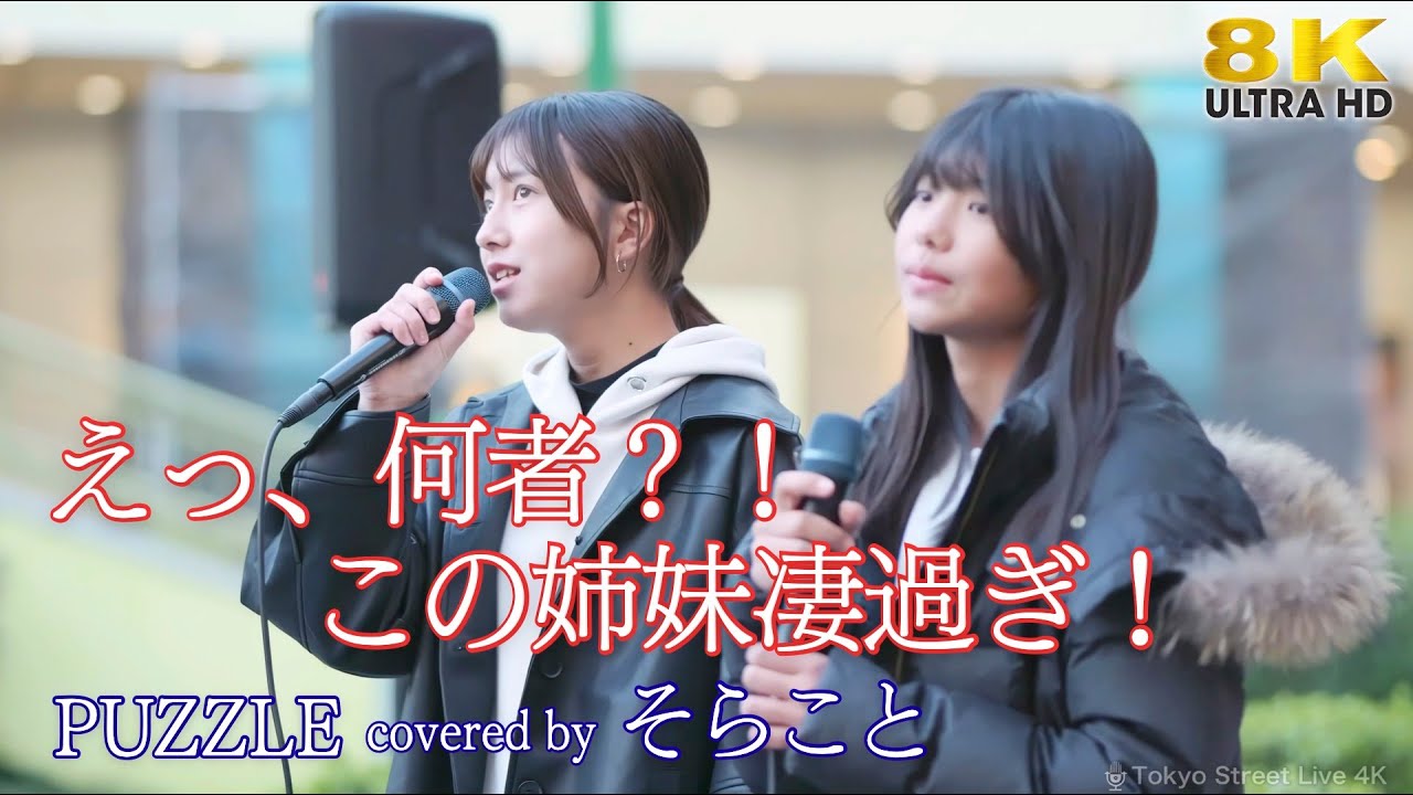 【 歌うま 】えっ、何者？！ この姉妹凄過ぎ！ PUZZLE / 清水翔太（ covered by そらこと ）海老名路上ライブ 🎧推奨 高音質 8K映像