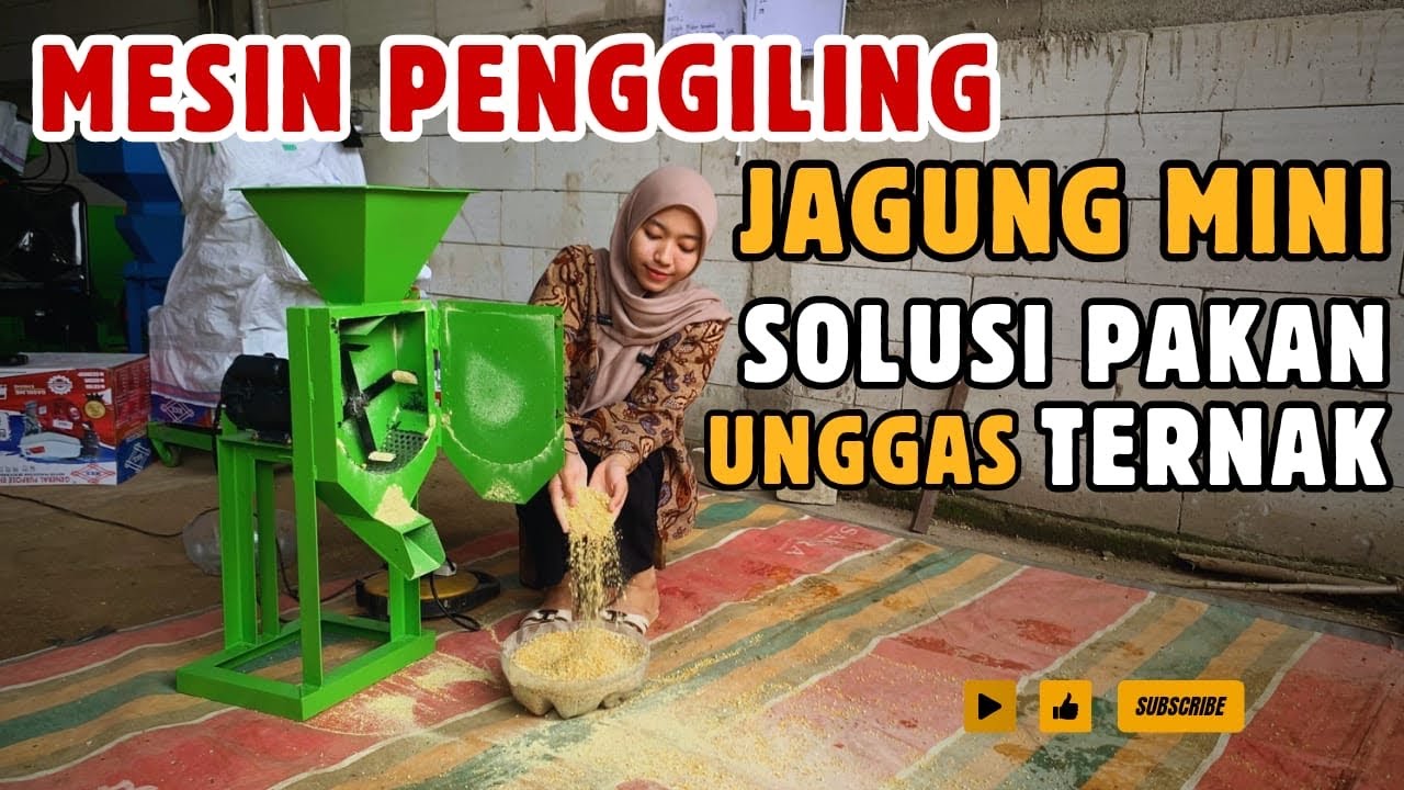 Mesin Penggiling Jagung Dinamo Listrik, Solusi Pakan Unggas Rumahan 