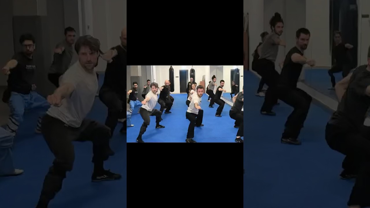 Shaolin Kung Fu 🔥Maestro Shi Yan Hui