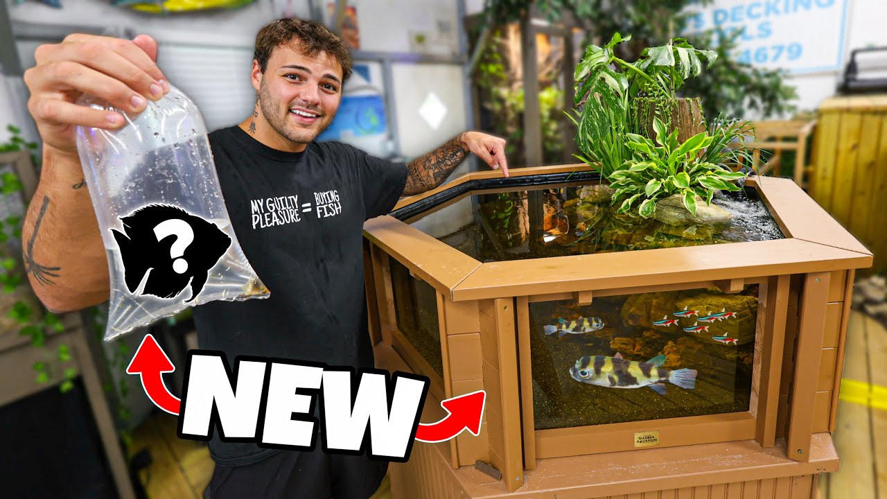 Buying FISH for My NEW POND Build!! (crazy)