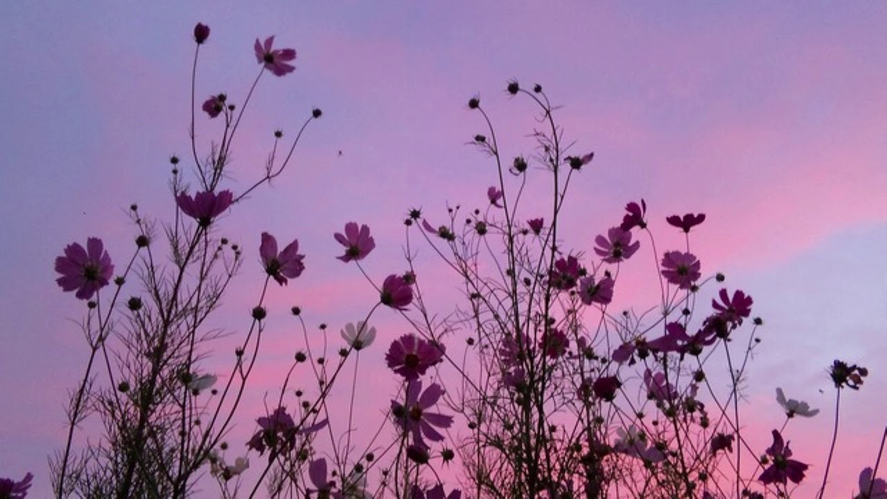 iver$on - a world without you