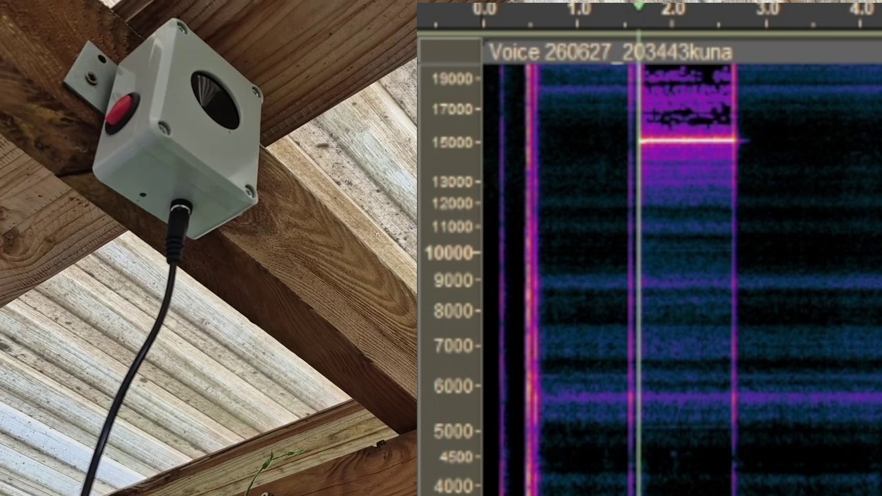 Kuny wracały cały czas ... ultradzwiękowy odstraszacz kun myszy Ultrasonic Dragon C100