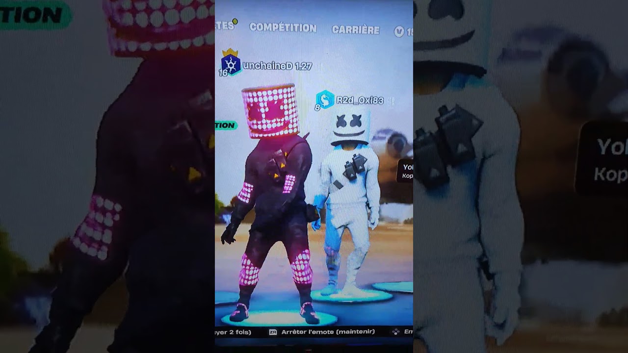 les skins de chanteurs (teusse)