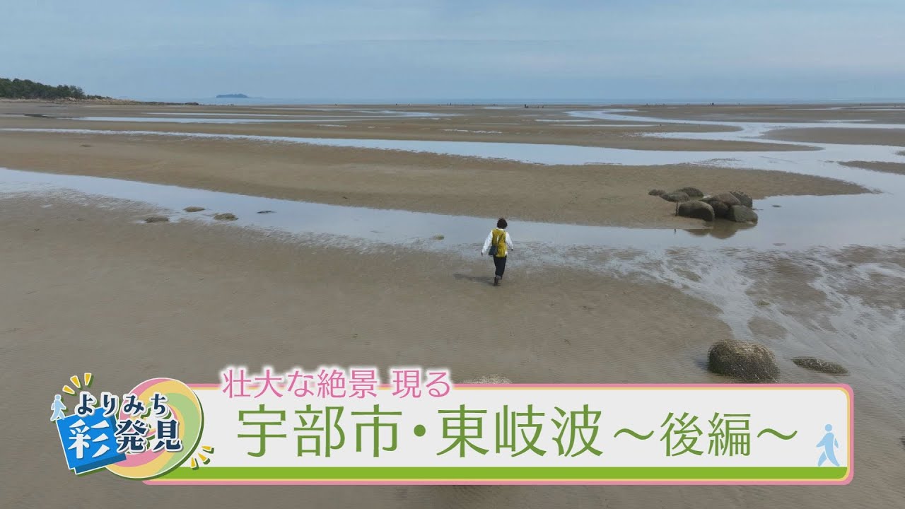 自慢の干潟は絶景なり　宇部市・東岐波（後編）