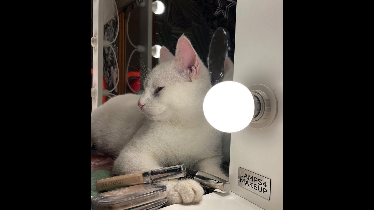 Meikkausvalot | Valopeili meikkaus | Meikkilamput poydalle #Lamps4makeup #Shorts